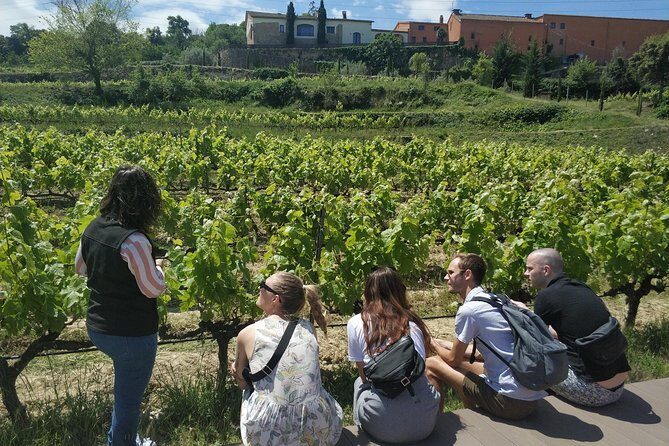 Private Wine & Cava Tasting Tour In Penedes with hotel pick up - Practical Details & Tips