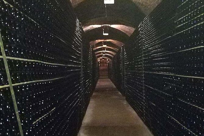 Private Wine & Cava Tasting Tour In Penedes with hotel pick up - The Sum Up