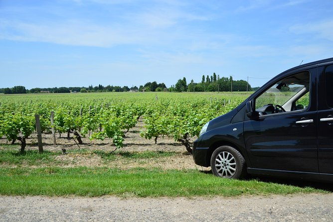 private-wine-cheese-tour-to-loire-valley-vineyards-from-paris