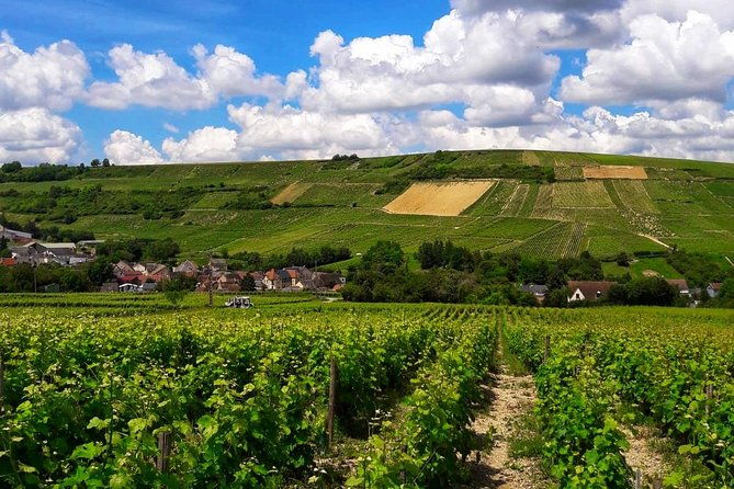 private-wine-cheese-tour-to-loire-valley-vineyards-from-paris
