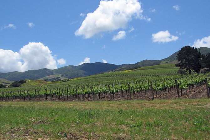 private-wine-country-tour-in-uncork-santa-barbara