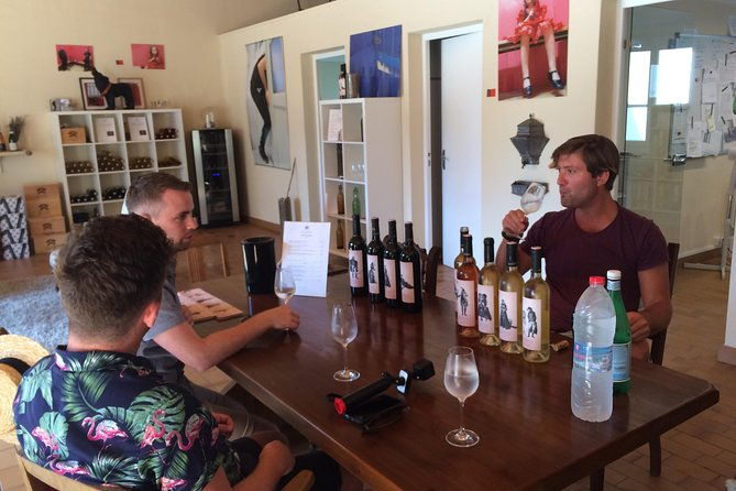 private-wine-day-tour-from-carcassonne-and-around