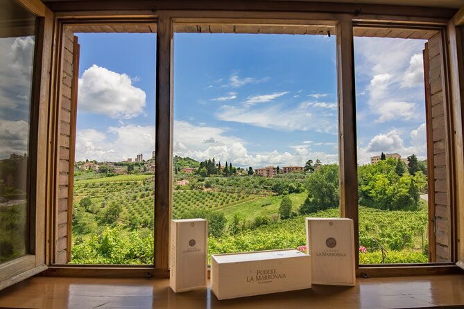 private-wine-evo-oil-tasting-with-truffle-meal-3