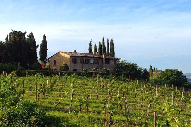 private-wine-evo-oil-tasting-with-tuscan-meal-3