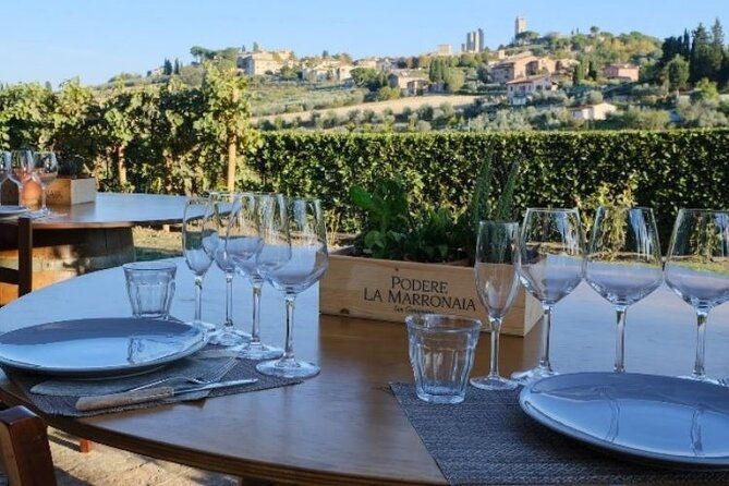 private-wine-evo-oil-tasting-with-tuscan-meal-3