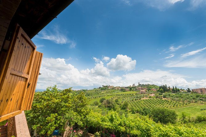 private-wine-evo-oil-tasting-with-tuscan-meal-3