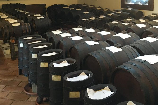 private-wine-evo-oils-balsamic-vinegar-experience-with-meal