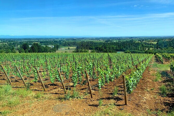 private-wine-excursion-willamette-valley-oregon-wine-tour
