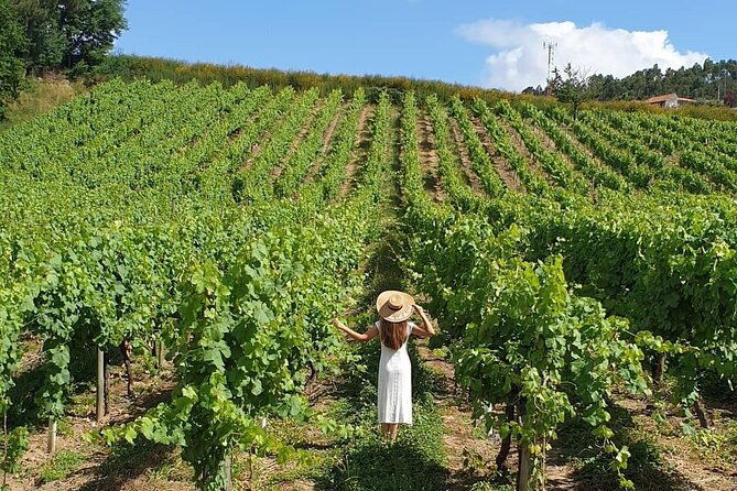private-wine-experience-in-rota-do-vinho-verde-with-lunch