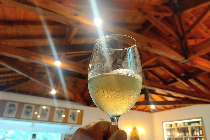 private-wine-experience-in-rota-do-vinho-verde-with-lunch