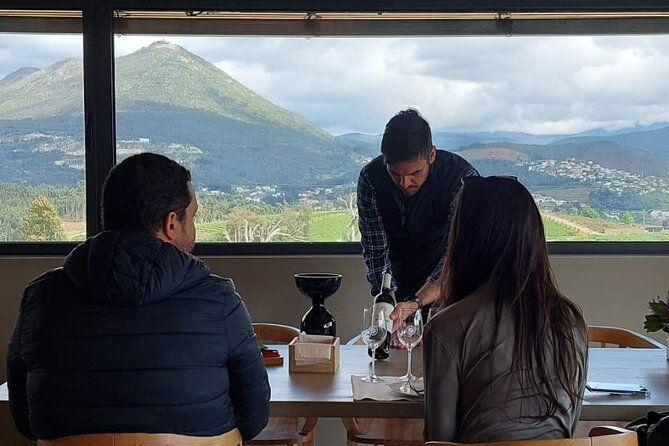 private-wine-experience-in-rota-do-vinho-verde-with-lunch