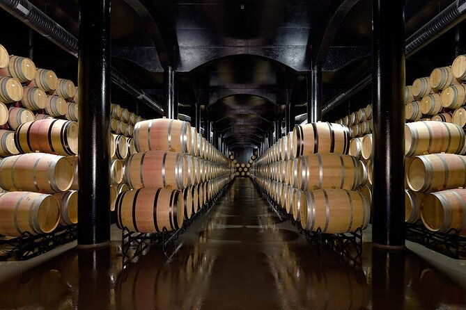 private-wine-food-tour-in-douro