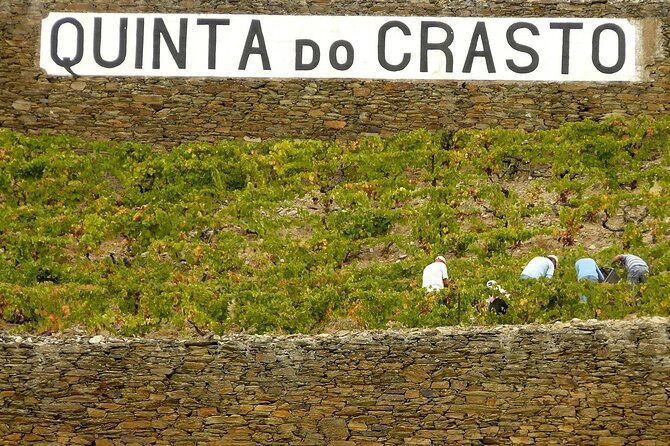 private-wine-food-tour-in-douro