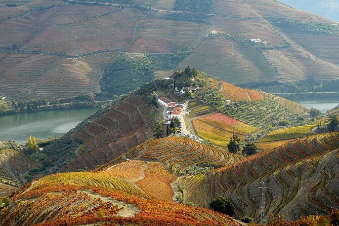 private-wine-food-tour-in-douro