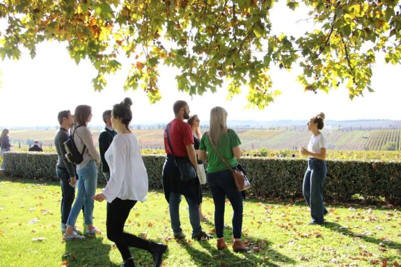 Private Wine & Museum Tour at Gerovassiliou Winery - The Wine Museum: A Treasure Trove of Artifacts