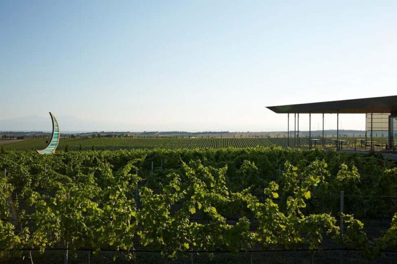 Private Wine & Museum Tour at Gerovassiliou Winery - Practical Details and Logistics
