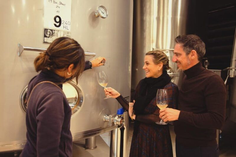 private-wine-tapas-cava-experience-from-barcelona