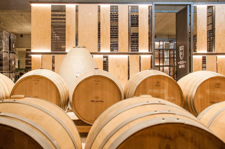 private-wine-tapas-cava-experience-from-barcelona