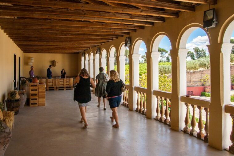 private-wine-tapas-cava-experience-from-barcelona