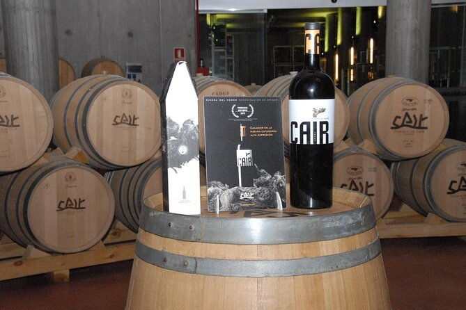 private-wine-tasting-and-visit-tour-in-ribera-duero