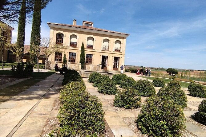 private-wine-tasting-and-visit-tour-in-ribera-duero