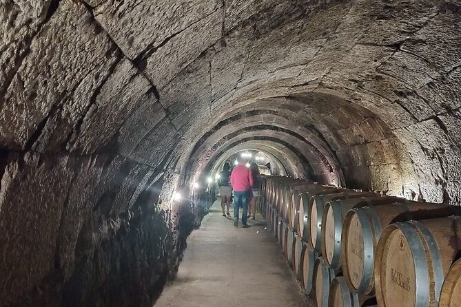 private-wine-tasting-and-visit-tour-in-ribera-duero