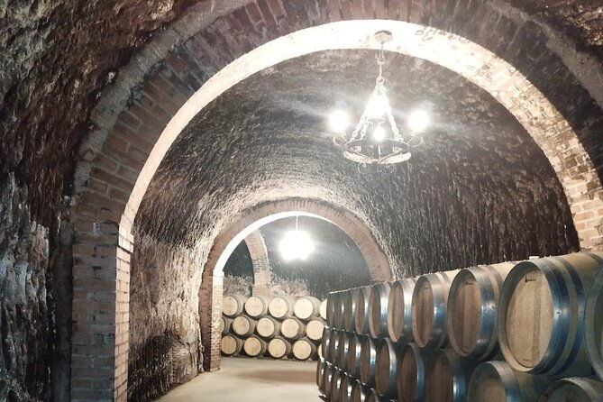 private-wine-tasting-and-visit-tour-in-ribera-duero