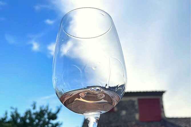 private-wine-tasting-at-home-gulf-of-saint-tropez