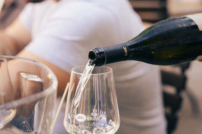 private-wine-tasting-experience-in-ljubljana