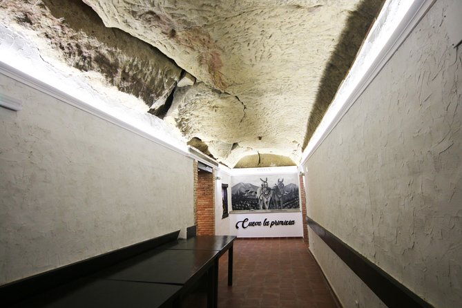 private-wine-tasting-in-san-vicente-de-la-sonsierra