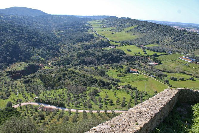 private-wine-tasting-in-the-setubal-wine-region-from-lisbon