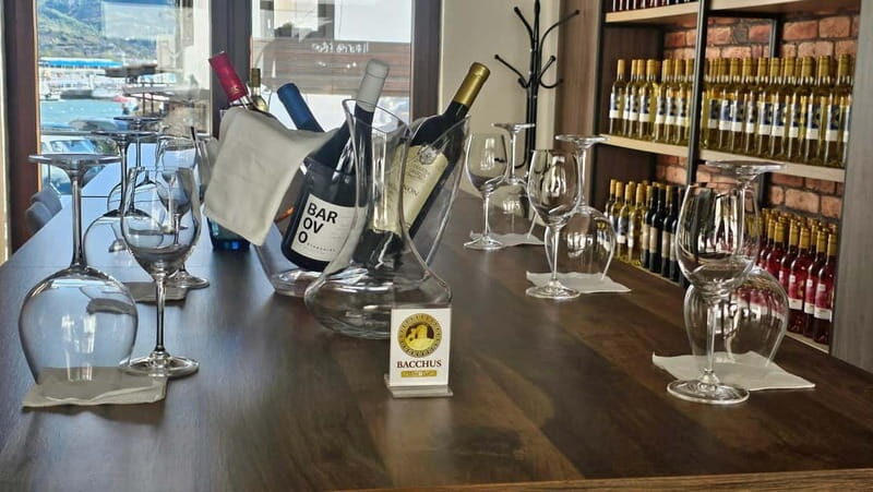 Private Wine Tasting Ohrid - What to Expect from Your Private Wine Tasting in Ohrid
