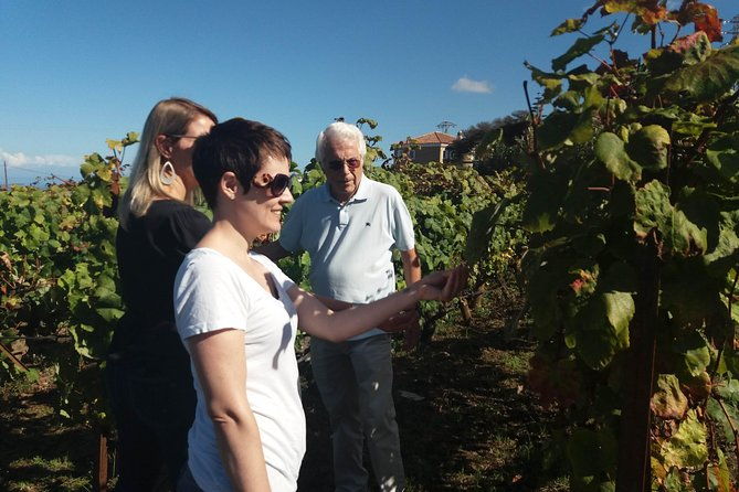 private-wine-tasting-tour-2