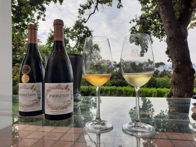 Private Wine Tasting tour - Private Wine Tasting Tour in Western Cape: An Authentic Sip of South Africa’s Finest