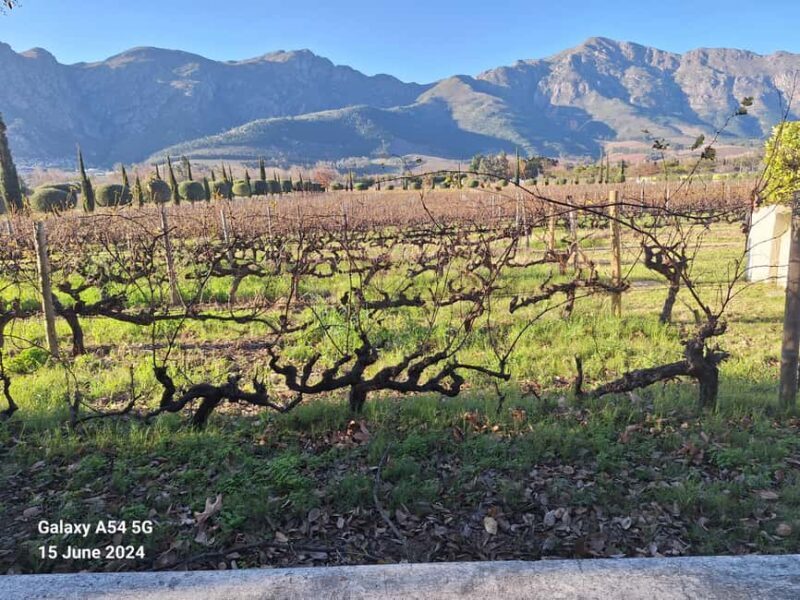 Private Wine Tasting tour - FAQs