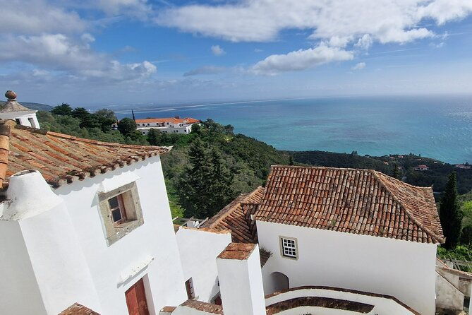 private-wine-tasting-tour-at-2-wines-setubal-sesimbra