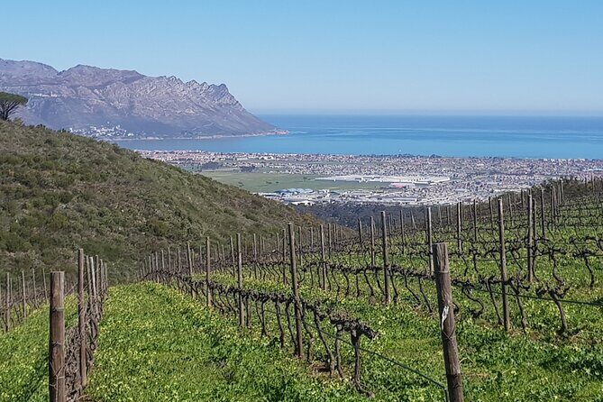 Private Wine Tasting Tour in Constantia, Cape Town - Key Points