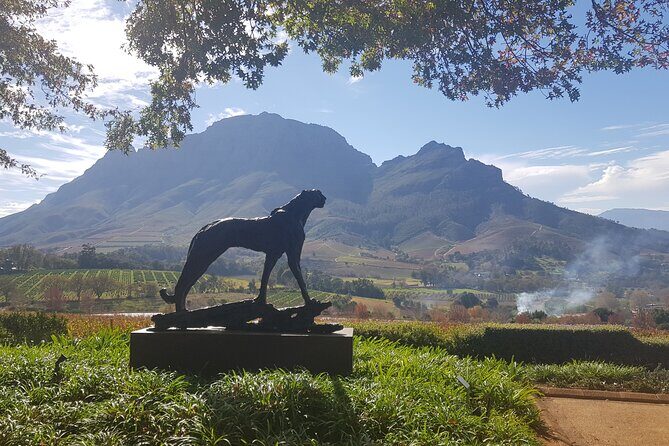 Private Wine Tasting Tour in Constantia, Cape Town - Who Should Consider This Tour?