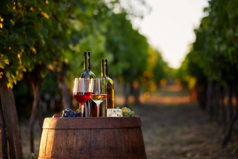 private-wine-tasting-tour-in-munich-with-a-wine-expert
