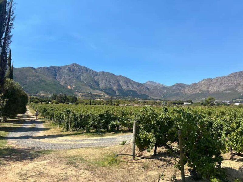 Private Wine Tasting Tour: Stellenbosch and Franschhoek - Who Should Consider This Tour?
