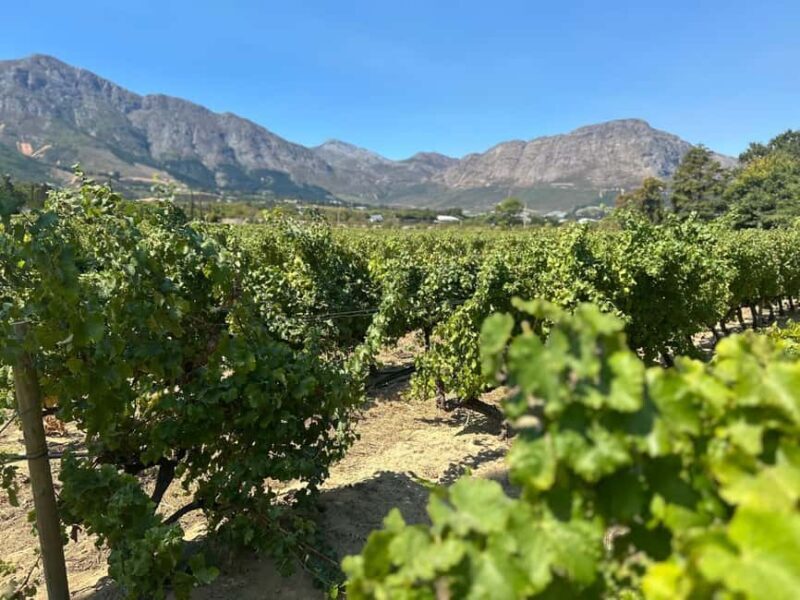Private Wine Tasting Tour: Stellenbosch and Franschhoek - Frequently Asked Questions