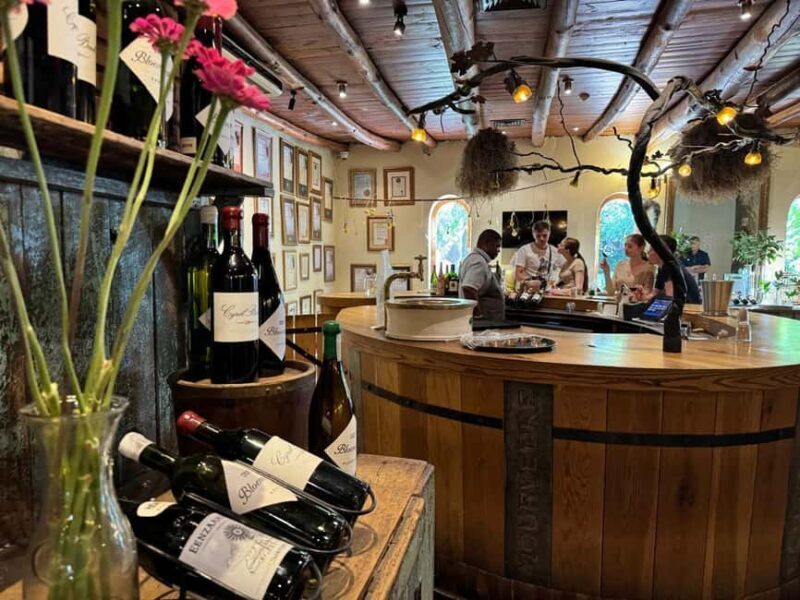 Private Wine Tasting Tour: Stellenbosch, Franschhoek, Paarl - Key Points