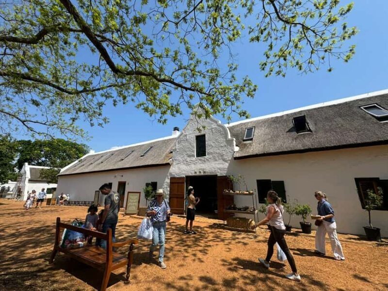 Private Wine Tasting Tour: Stellenbosch, Franschhoek, Paarl - An In-Depth Look at the Cape Winelands Private Tour