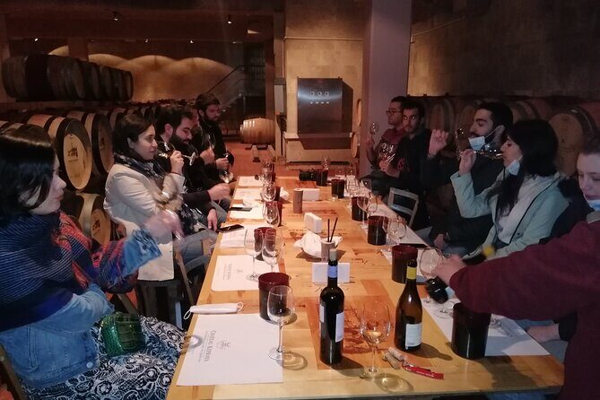 PRIVATE Wine Tasting Tour to the Bekaa Valey Fabulous Wineries - What’s Included and What to Consider