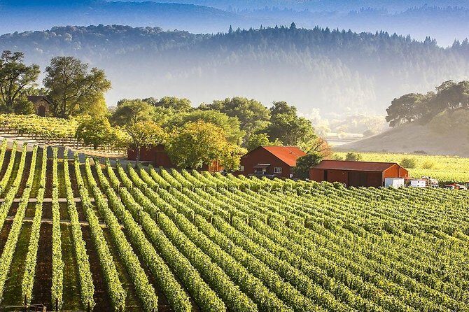 PRIVATE Wine Tasting Tour to the Bekaa Valey Fabulous Wineries - FAQ