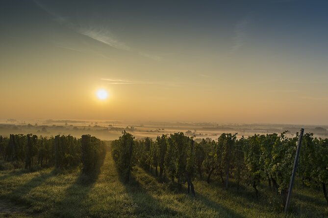 private-wine-tasting-tour-with-personal-driver-2