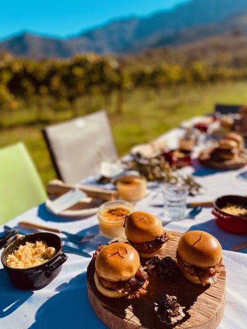 private-wine-tastings-around-calvi-ile-rousse