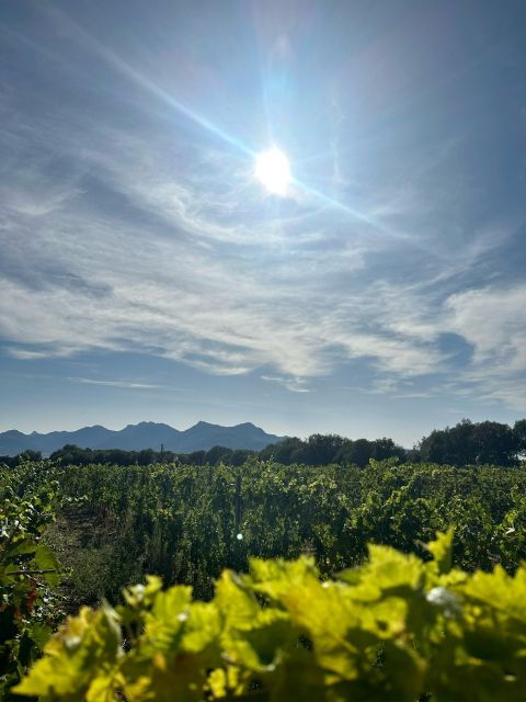 private-wine-tastings-around-calvi-ile-rousse
