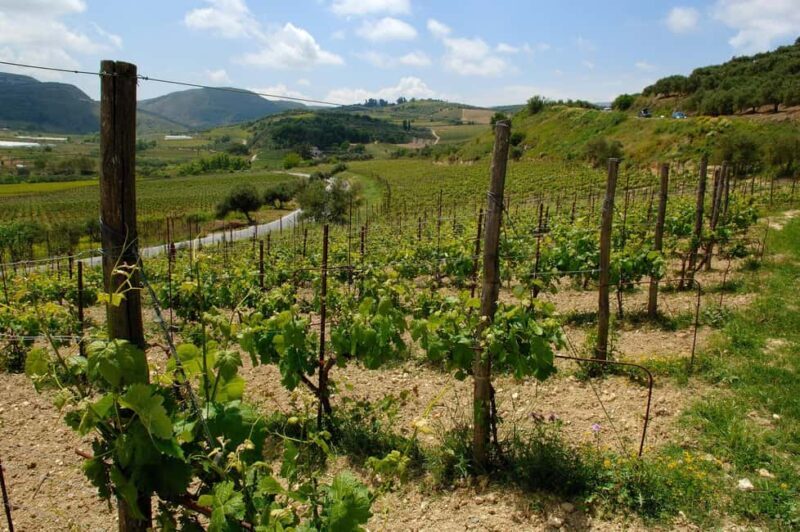 Private Wine Tour - Key Points