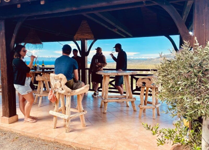 private-wine-tour-around-ile-rousse-calvi-with-transport